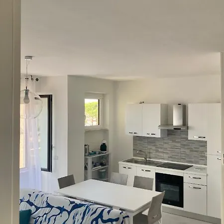 Tizzy Apartment *